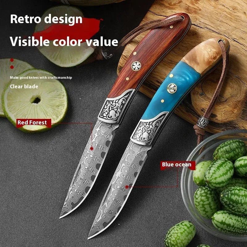 VG10 stainless steel folding knife with national style handmade craftsmanship