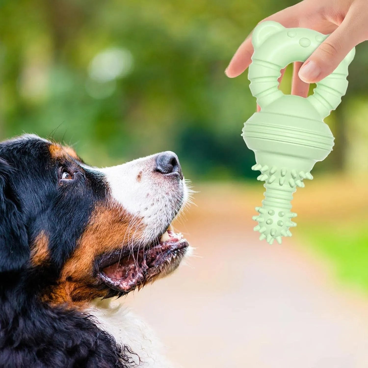 Blue rubber dog chew toy with textured surface and bell inside, for aggressive chewers.