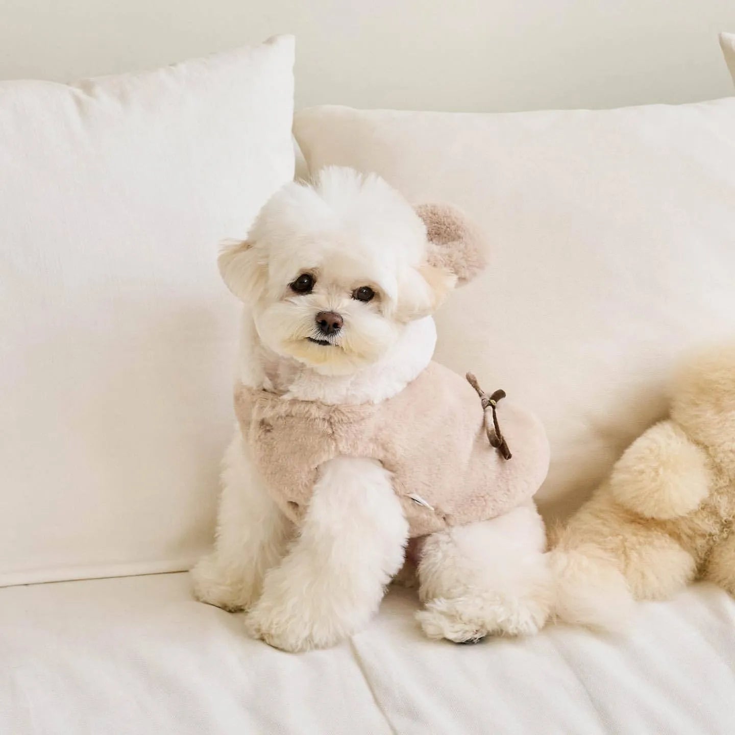 Light brown polyester pet coat for dogs or cats in medium size