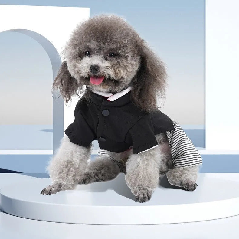 Cotton dog clothes for poodles in skirt or four-legged pants styles for spring and autumn wear