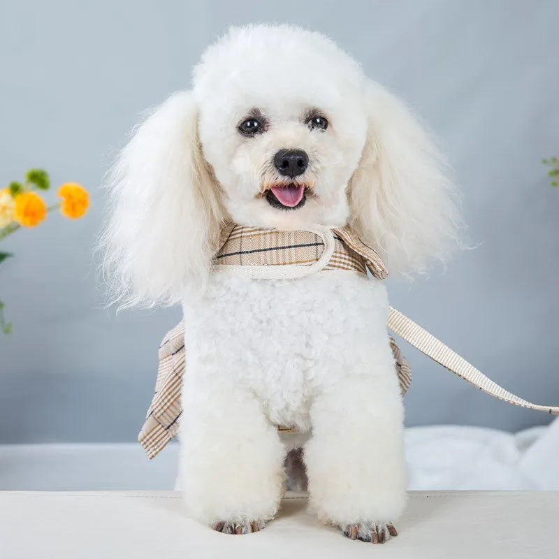 Pet vest chest strap with integrated hand holding rope in milky white or purple colour options