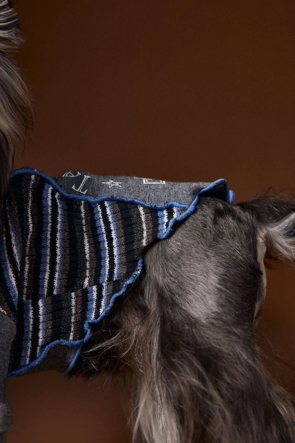 Striped blue polyester dog sweater with zipper front on a small dog, casual pet coat design for Schnauzer Teddy Bichon Yorkshire