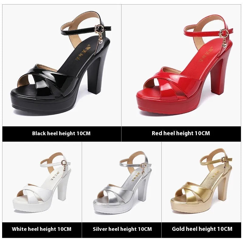 Women's chunky heel platform shoes patent leather with rhinestone buckle 10cm height fish mouth toe