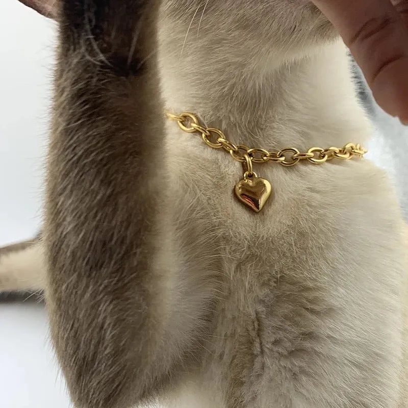 Stainless steel necklace with cat and dog Zodiac pendant featuring heart design on curb chain