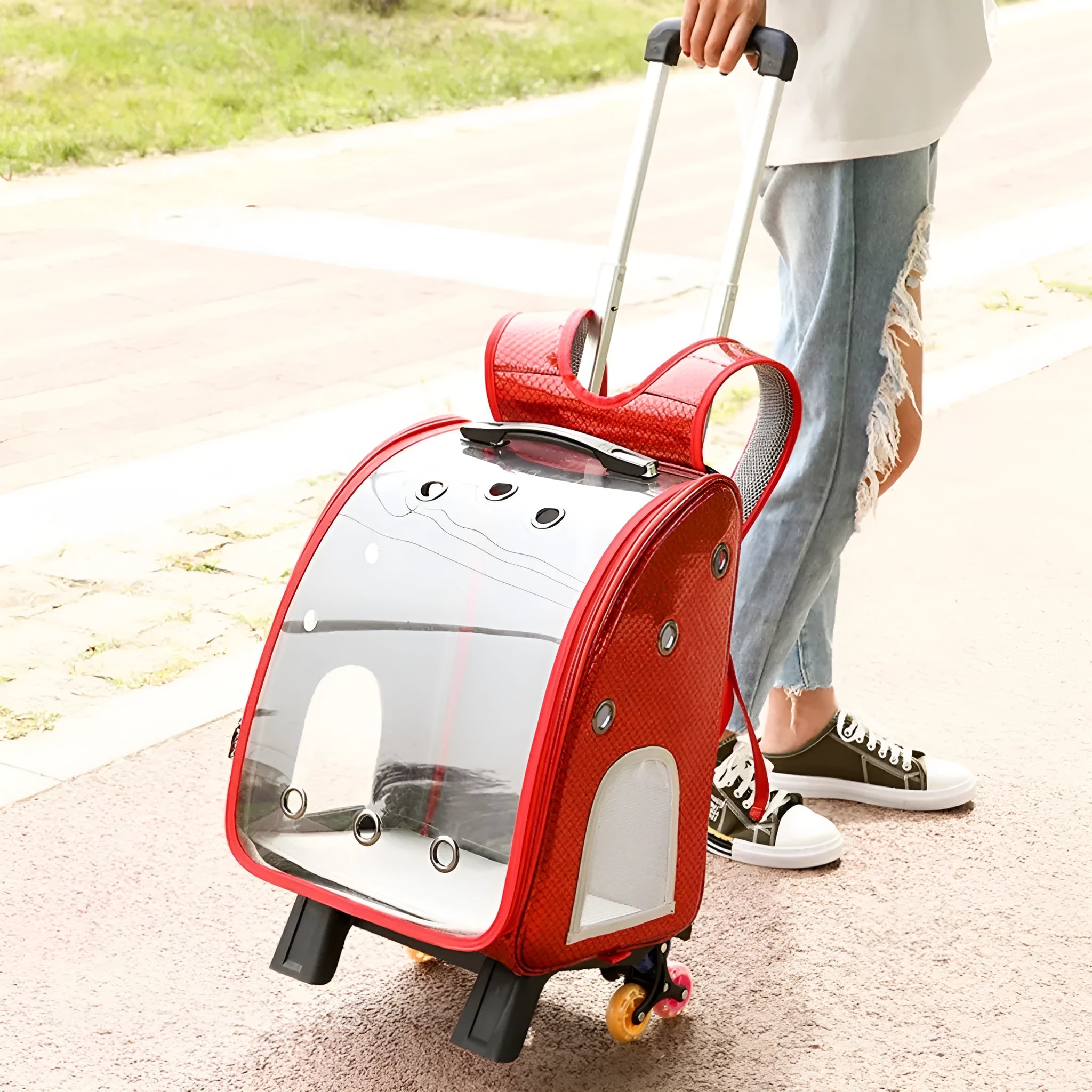 Blue transparent folding pet trolley bag with Oxford cloth backpack for small dogs.