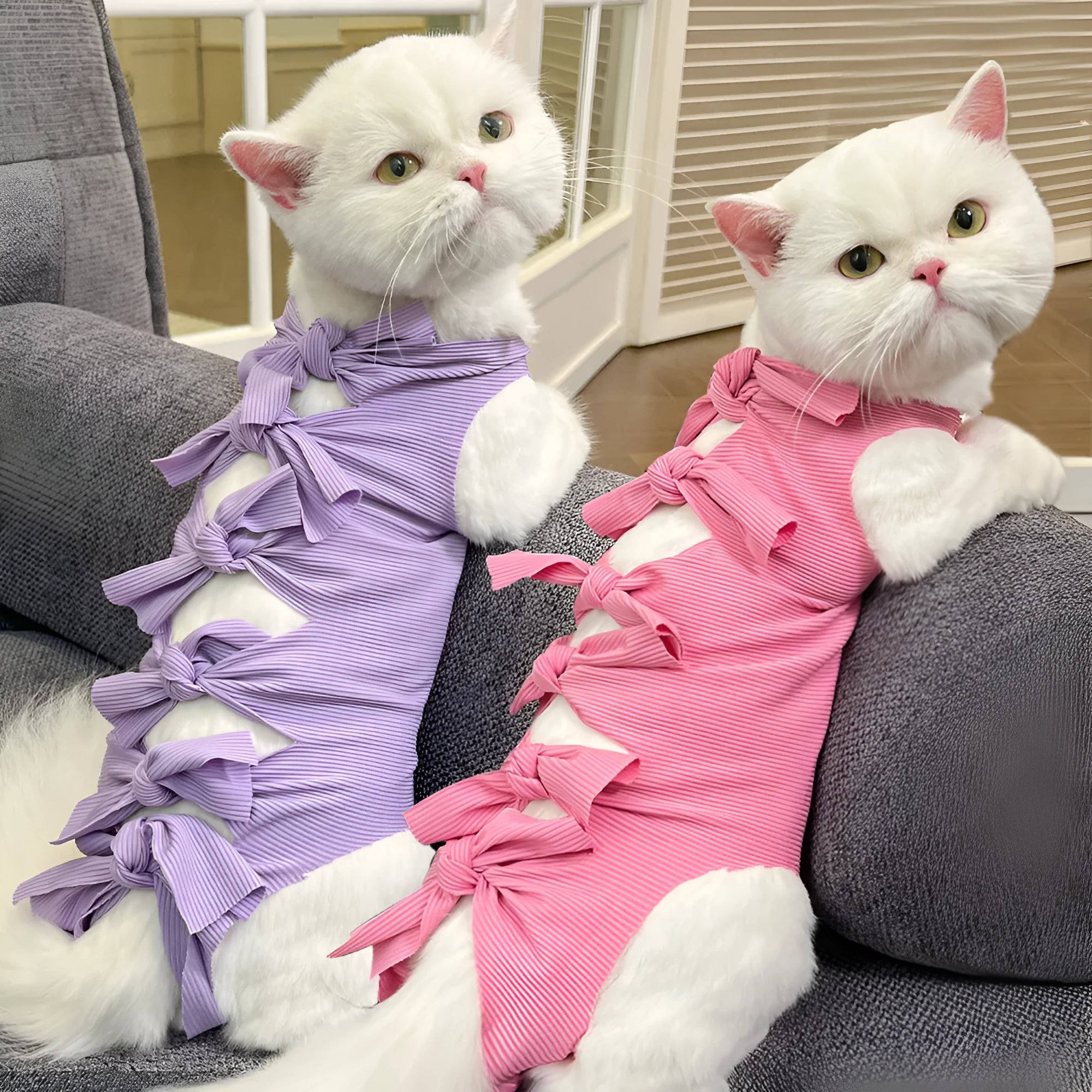 Blue lace-up cat recovery suit on a tabby cat, showing the back closure and full-body fit.