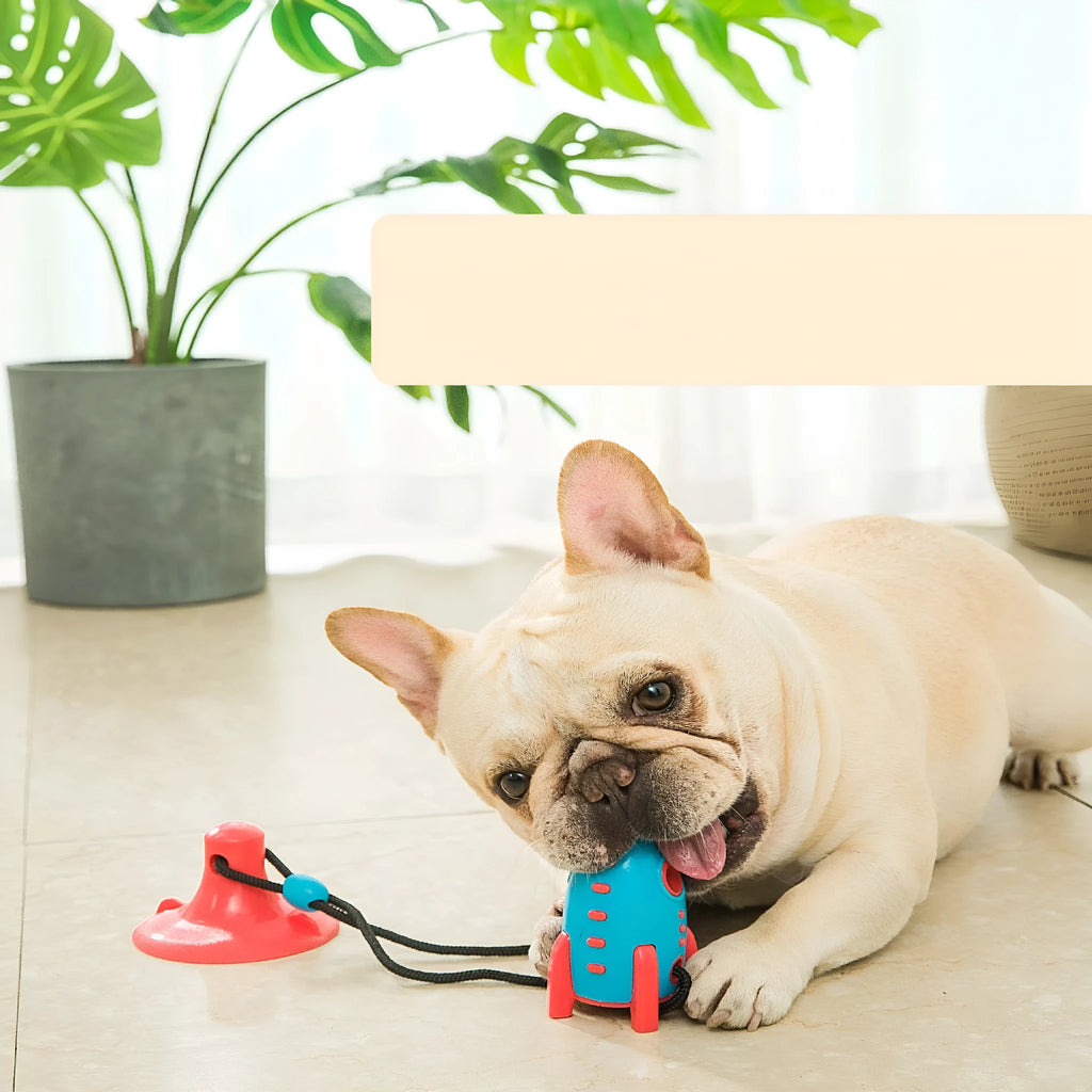 Rocket Dog Toys silicone leaking food bite toy with molar bumps for oral health, 200g weight