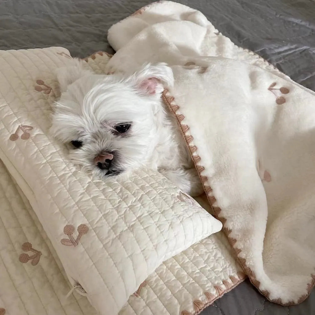 Simple bear pattern dog bed set with mattress, pillow, and quilt in washable polyester