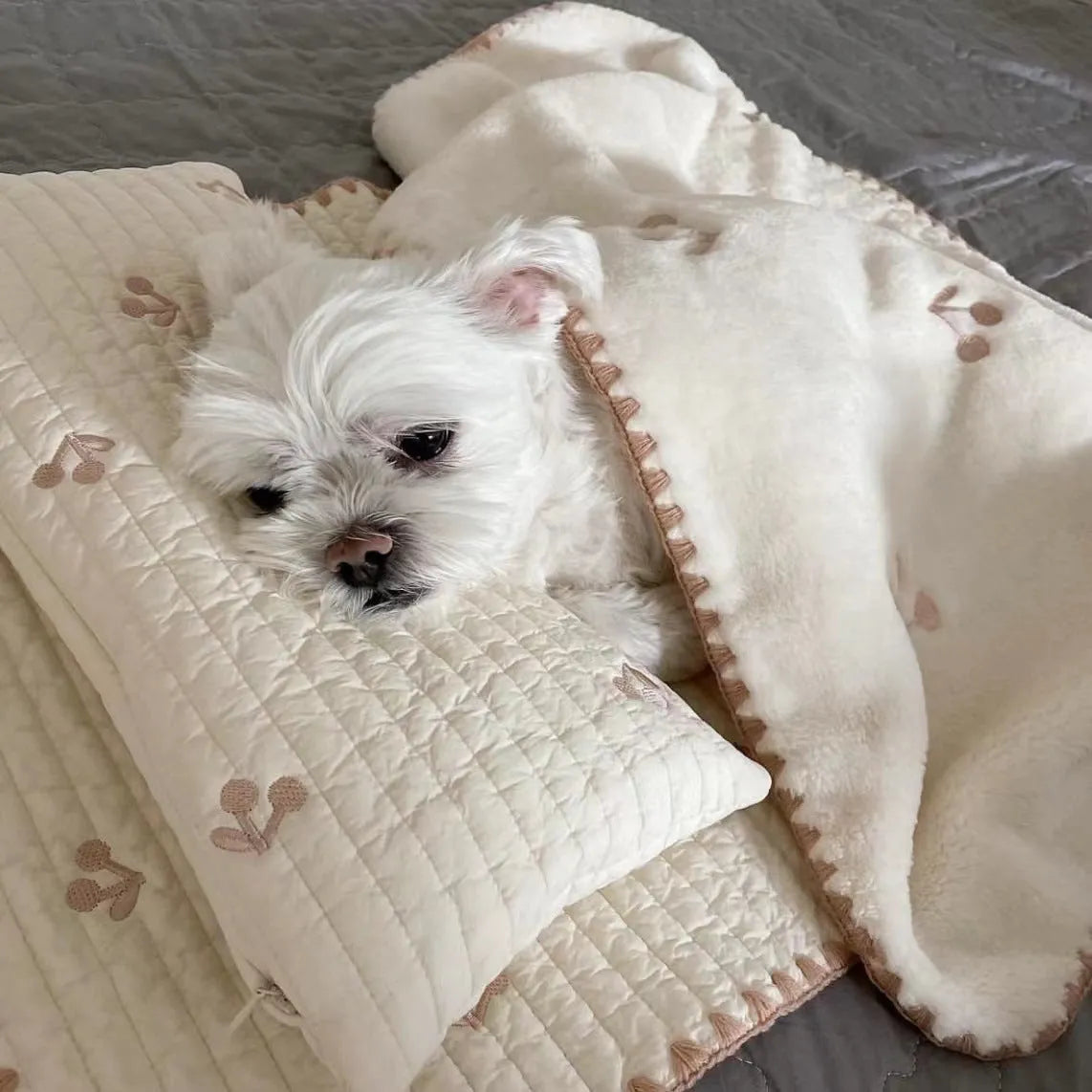 Simple bear pattern dog bed set with mattress, pillow, and quilt in washable polyester