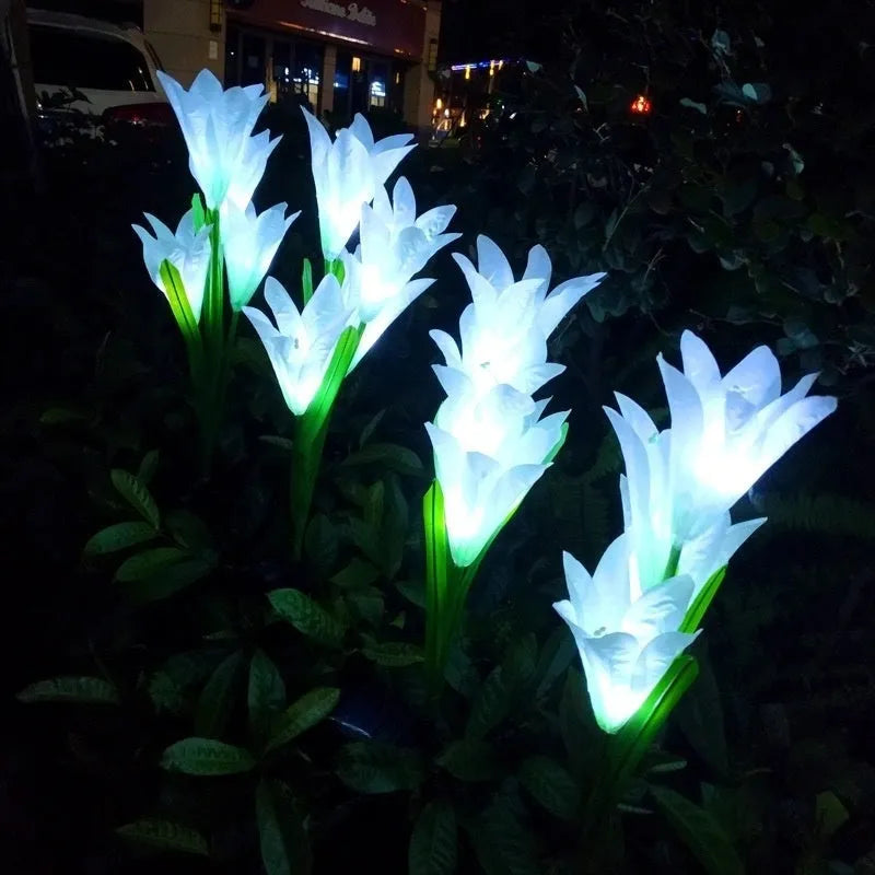 Solar powered colour LED flower lawn lamp for garden ground lighting