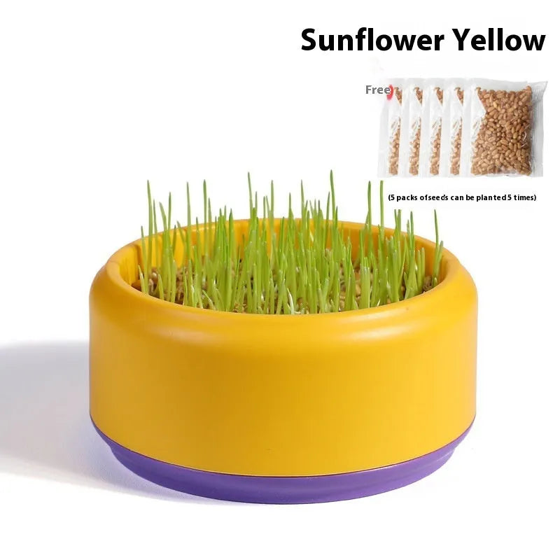 Hydroponic cat grass kit with blue, green, and yellow growing cups and seed packets