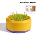 Hydroponic cat grass kit with blue, green, and yellow growing cups and seed packets