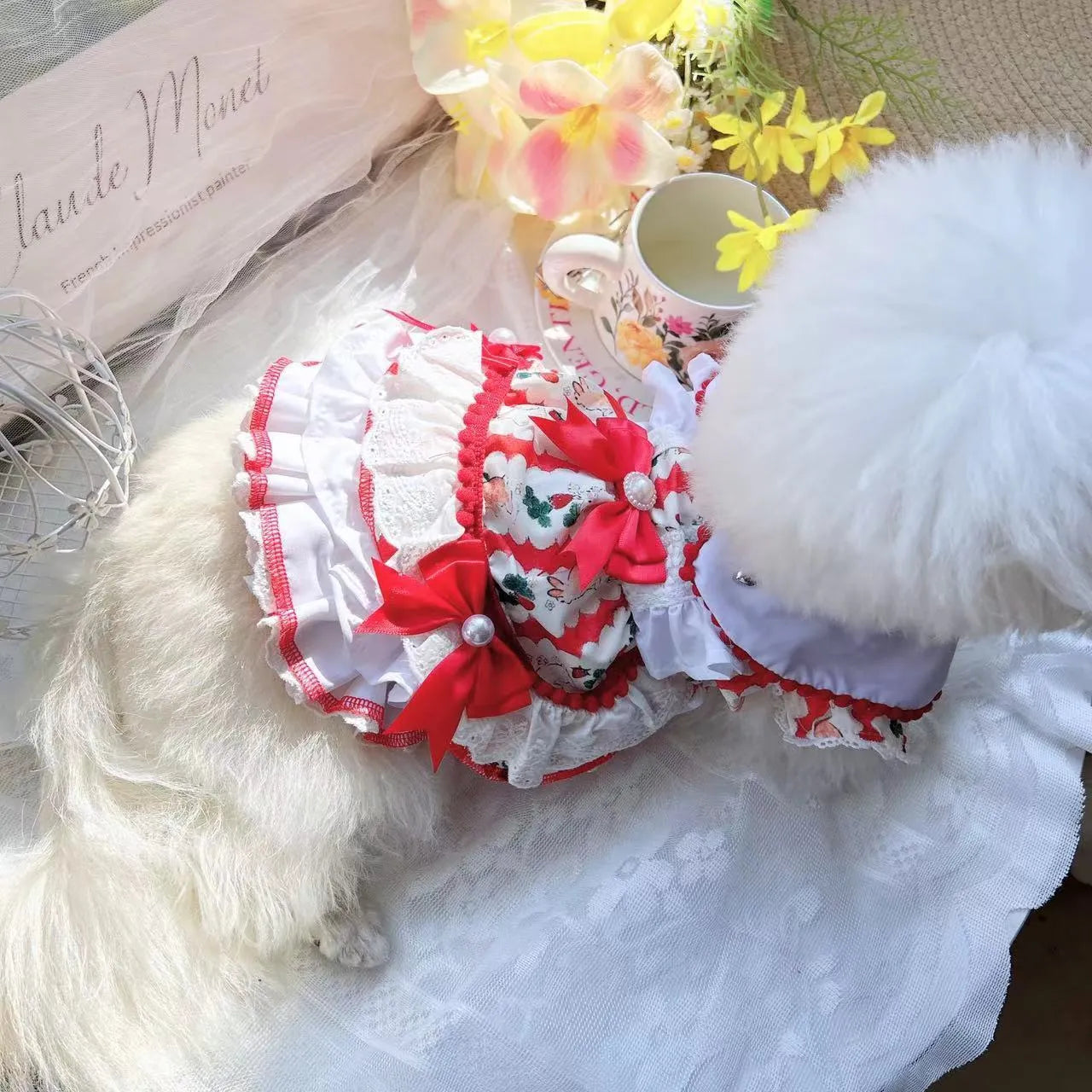 Small white dog wearing a white rabbit skirt princess style outfit with layered frills.