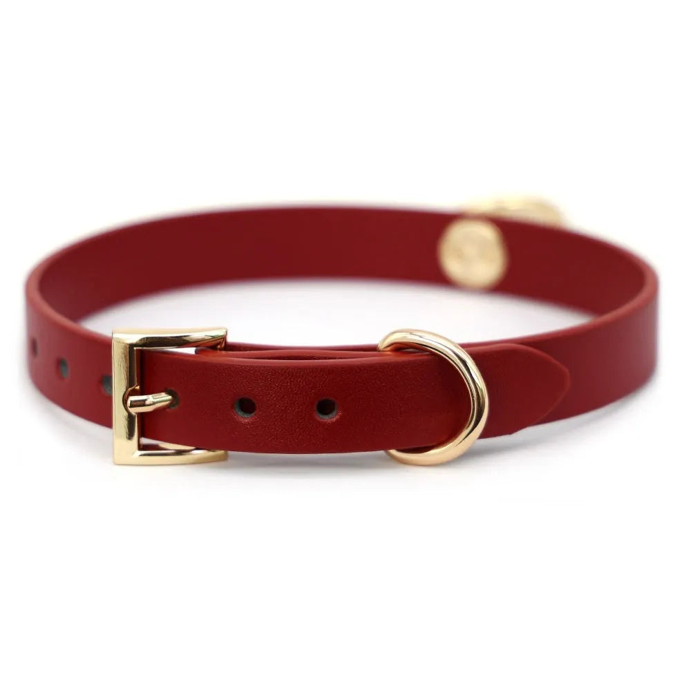 Genuine cowhide leather collar with drag chain and pull lead attachment in black.