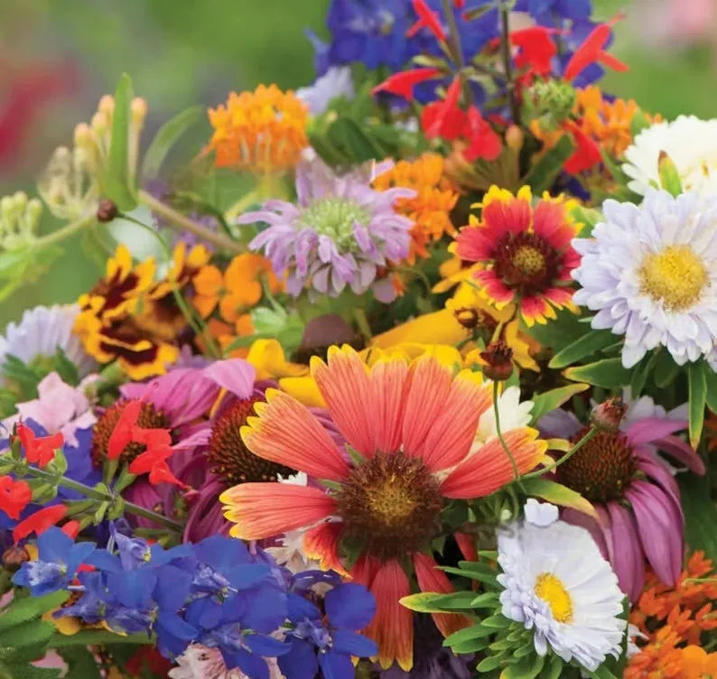 Packet of mixed wildflower seeds for garden decoration, offered in 1000, 5000, or 10000 seed quantities.