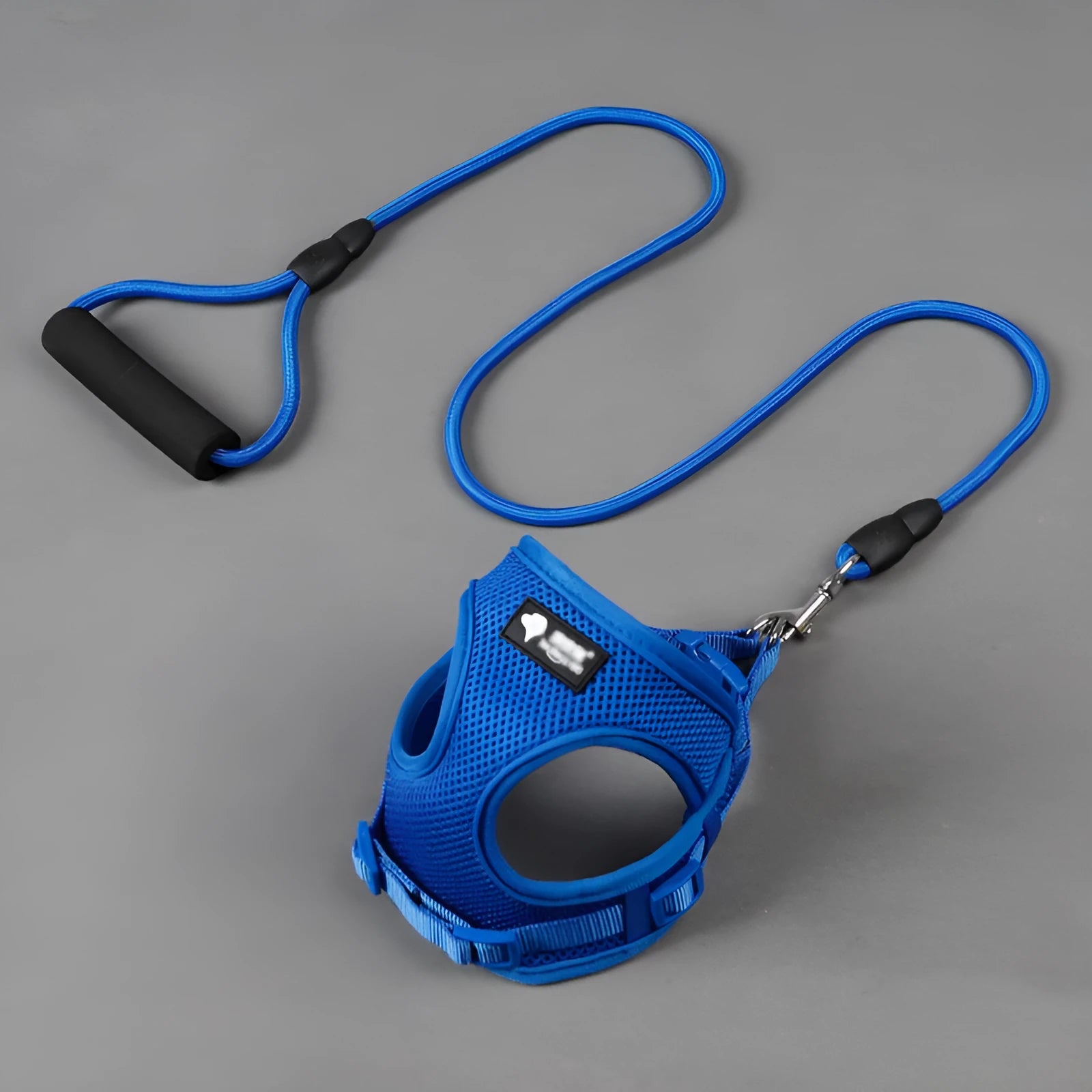 Blue dog leash with foam handle and matching adjustable collar for small dogs