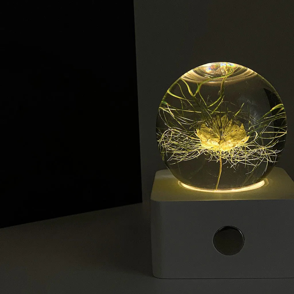 Small 8cm USB night light with a preserved dandelion and sunflower specimen inside, on a desktop.