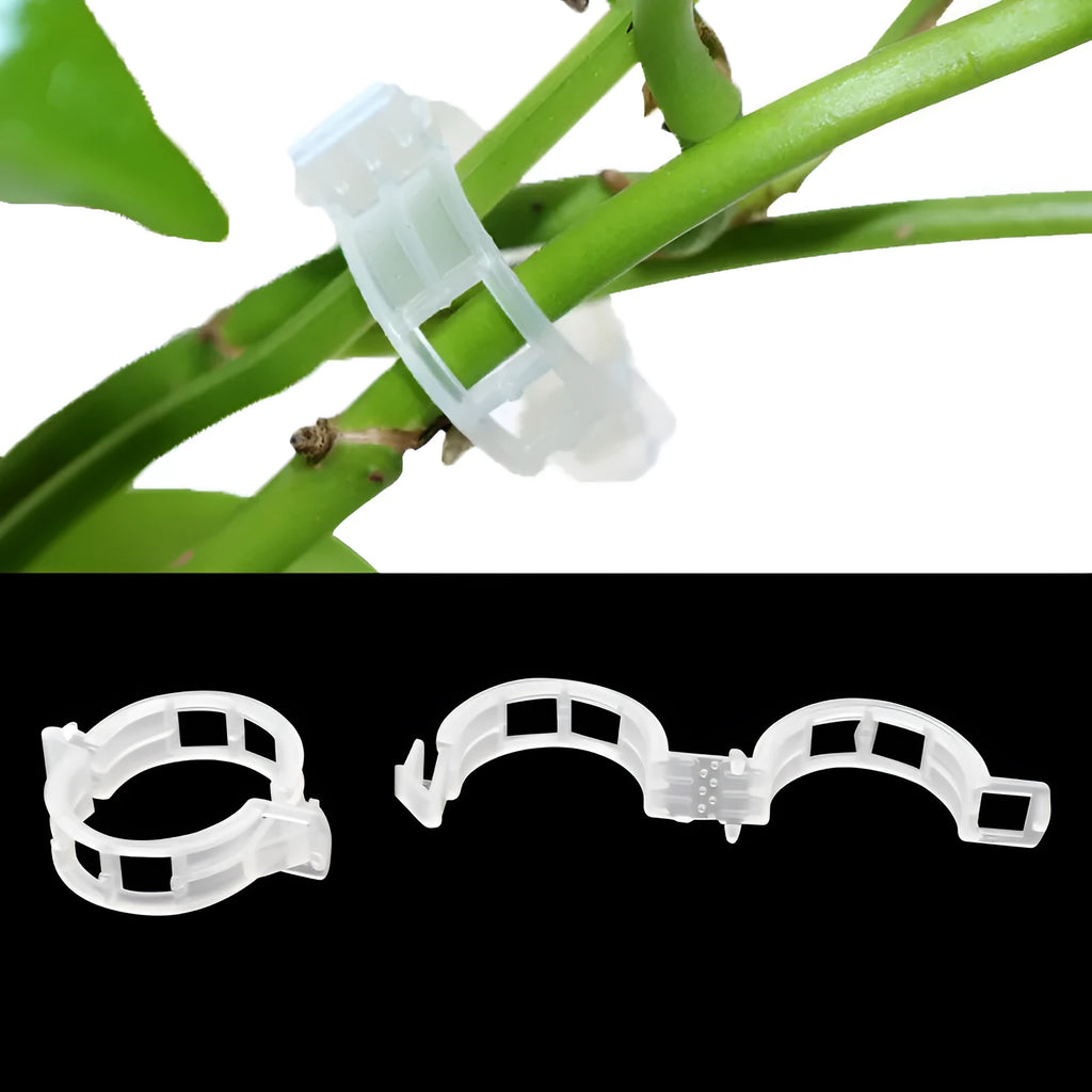 50 plastic garden plant fixing and grafting clips for tomato plants and outdoor use