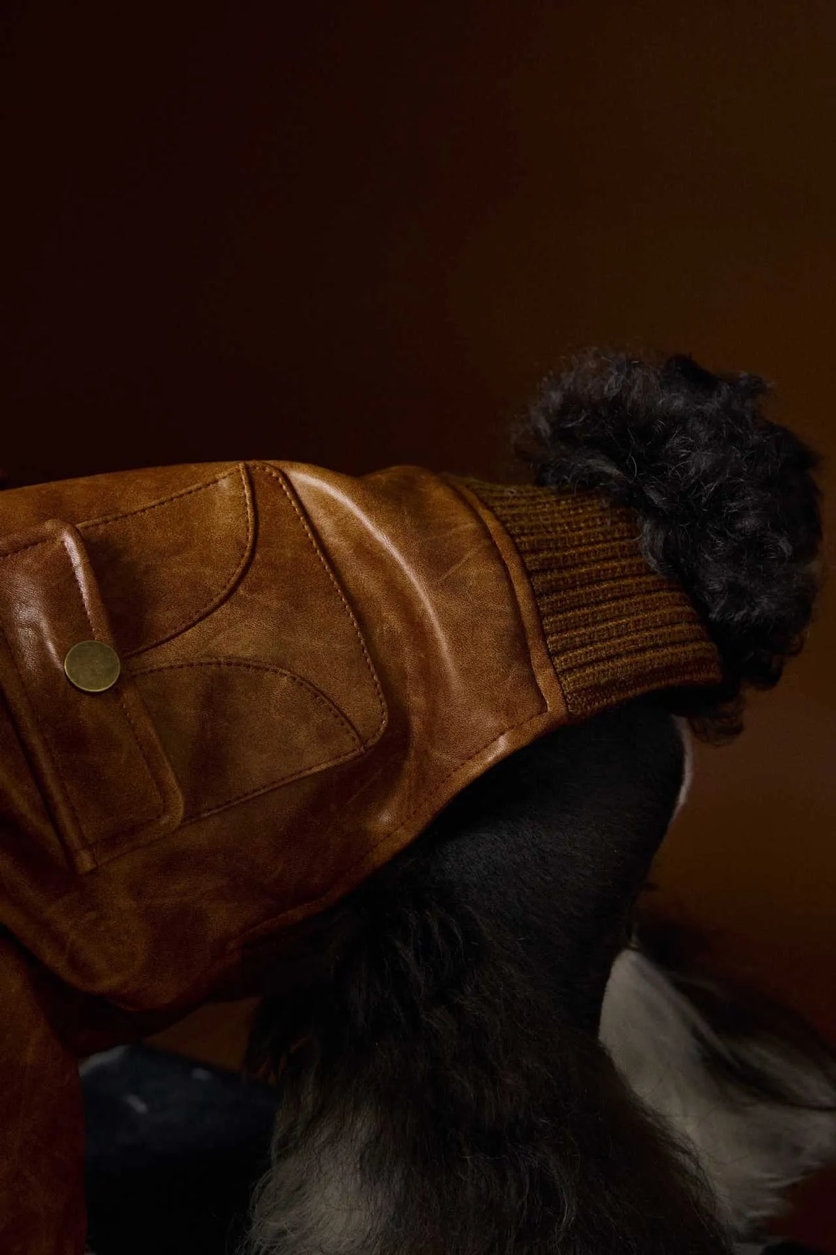Brown PU pet leather coat with long sleeves and two-feet design for Schnauzers and Bichons, sizes XS to XXL