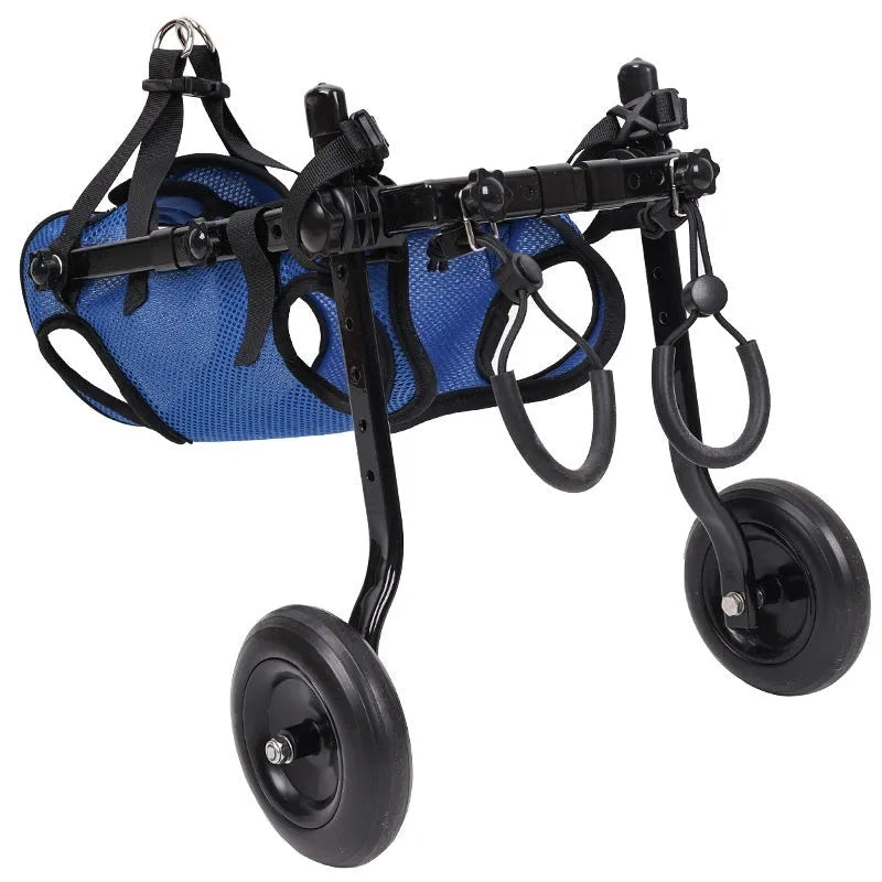 Blue pet dog wheelchair scooter with aluminium alloy frame on grass