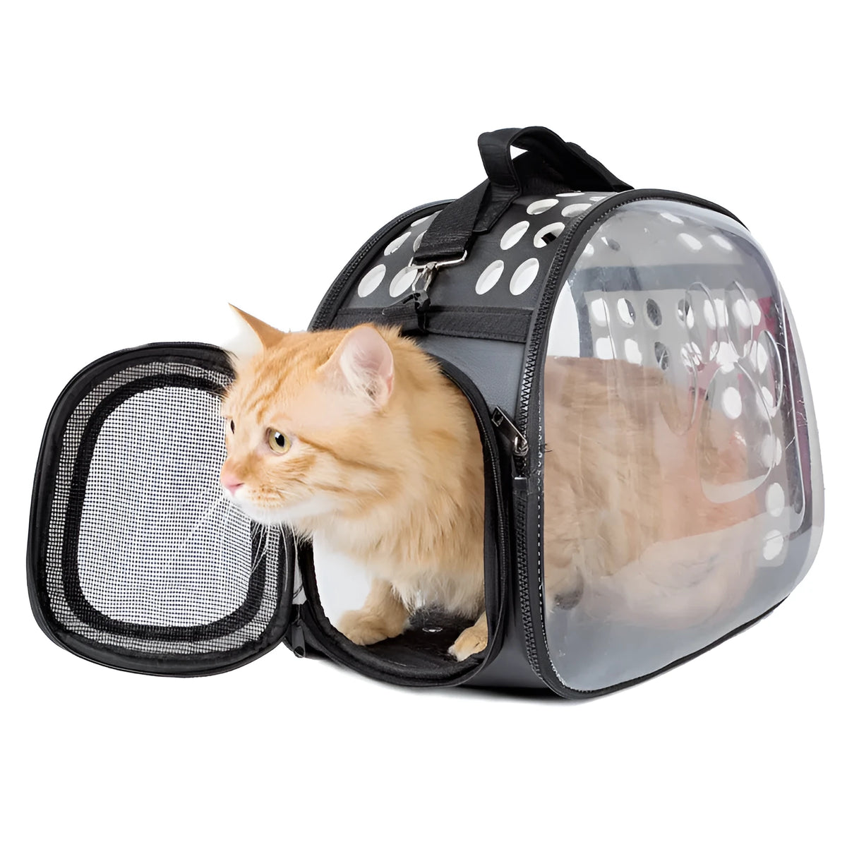 Portable breathable pet backpack with transparent acrylic panels, side vents, locking zipper, and ergonomic shoulder strap