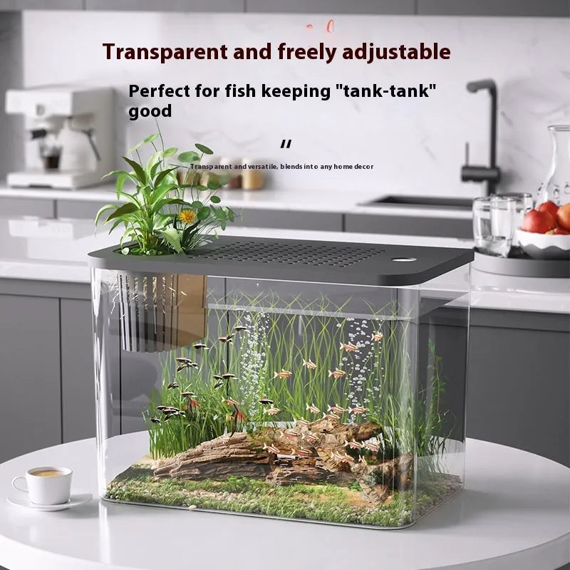 Black and white mini betta fish tank with clear plastic lid, dimensions 32cm wide by 23cm tall.