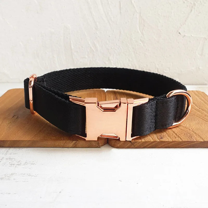 Black polyester dog collar for general use, shown as a simple pet collar available in sizes XS to XL.