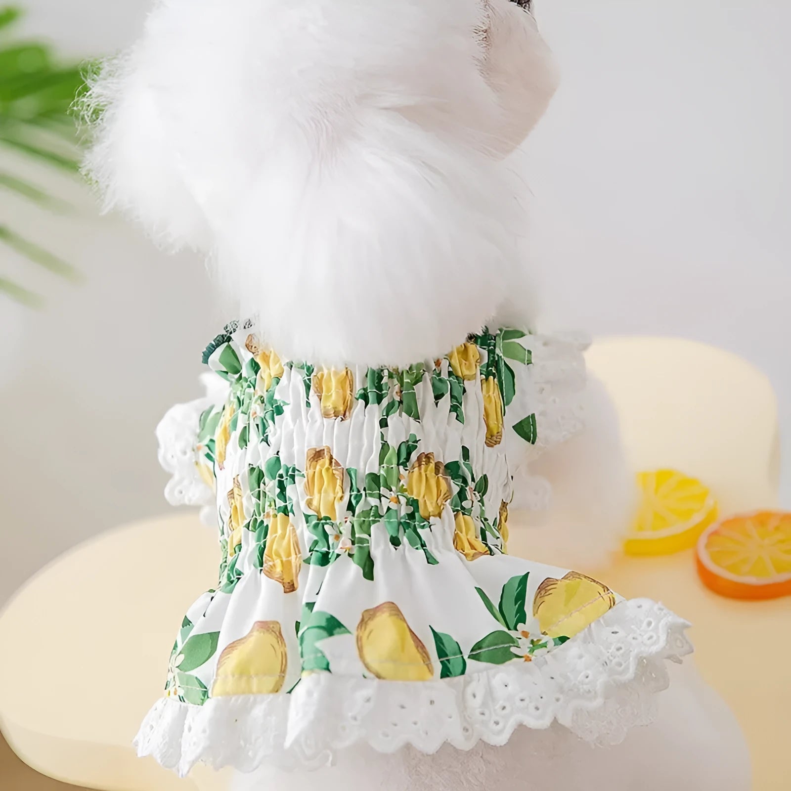 Rock yellow lemon princess style strap skirt dog dress on small dog
