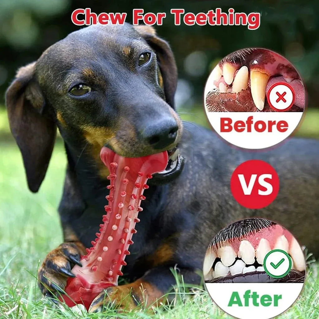 Red natural rubber chew toy for aggressive chewing dogs on wooden floor