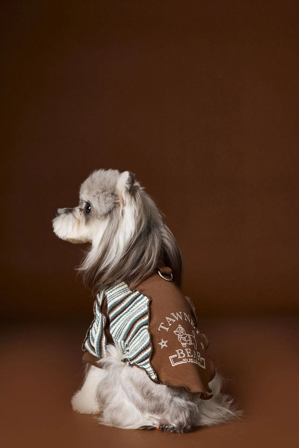 Striped blue polyester dog sweater with zipper front on a small dog, casual pet coat design for Schnauzer Teddy Bichon Yorkshire