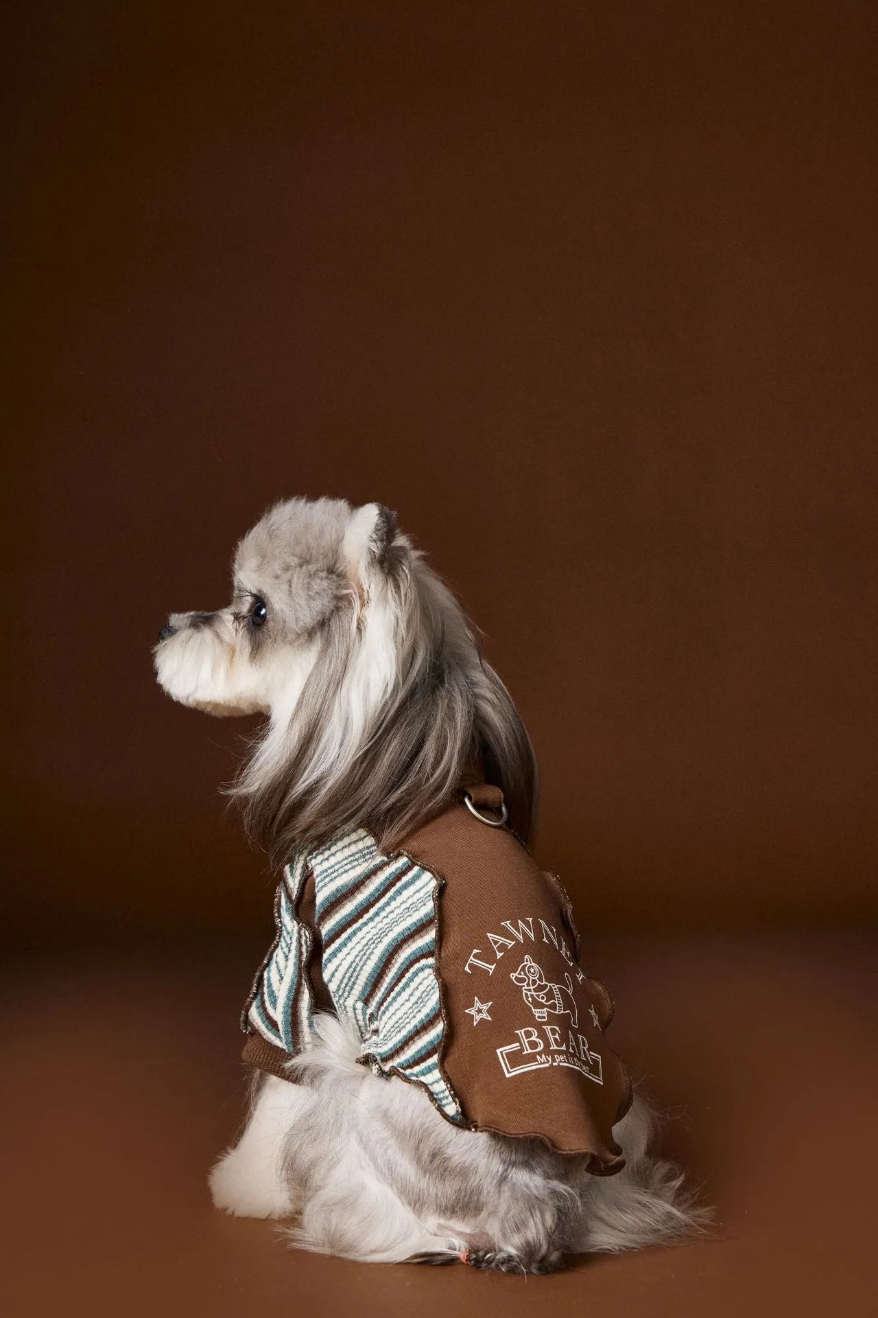Striped blue polyester dog sweater with zipper front on a small dog, casual pet coat design for Schnauzer Teddy Bichon Yorkshire