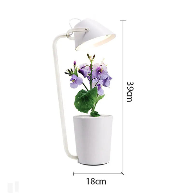 White plastic desktop hydroponic plant growth container for soilless cultivation.