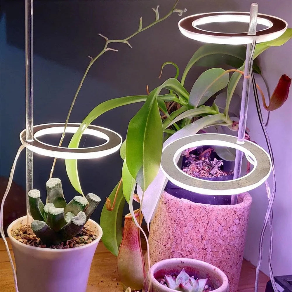 Compact 90mm angel ring LED grow light for indoor plants with USB cable connection