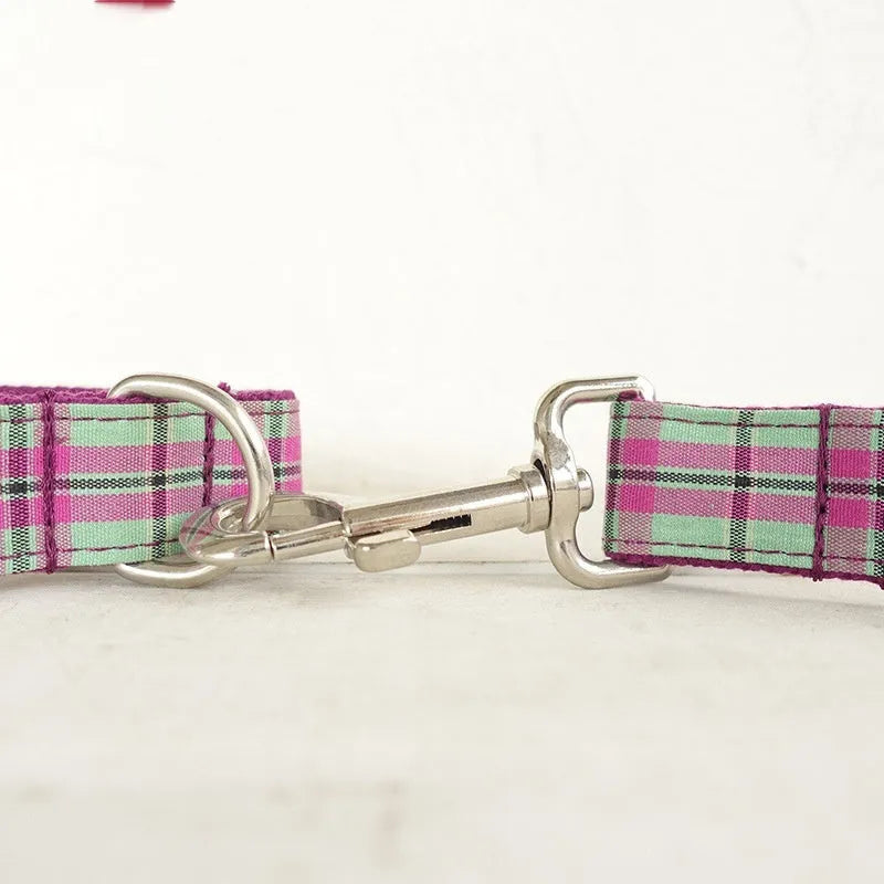 Mint green integrated dog collar and leash set with adjustable sizing