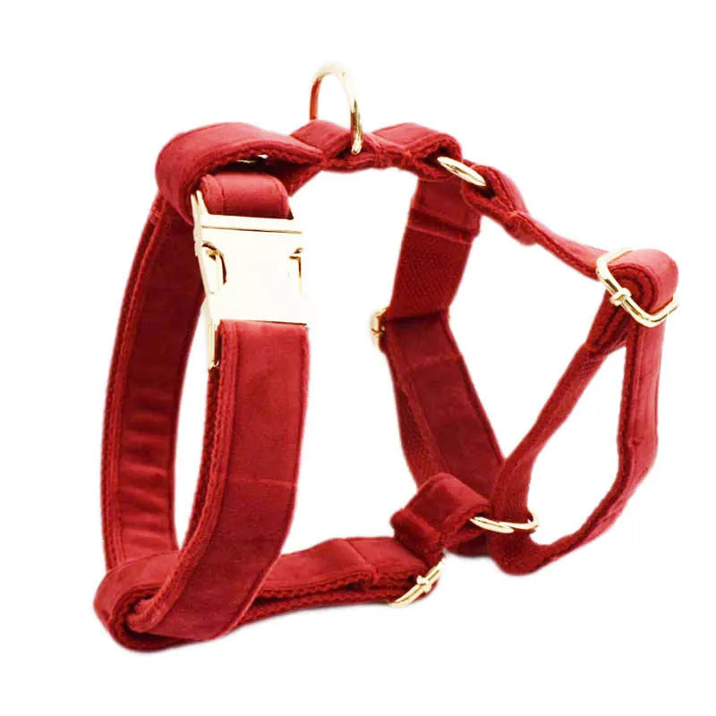 Dog wearing cloth collar, leash, vest with decorative bow accessory set