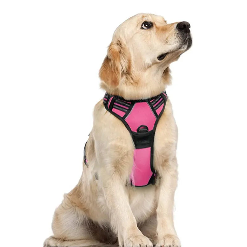 Adjustable nylon dog harness vest in blue, side view showing chest strap and buckle
