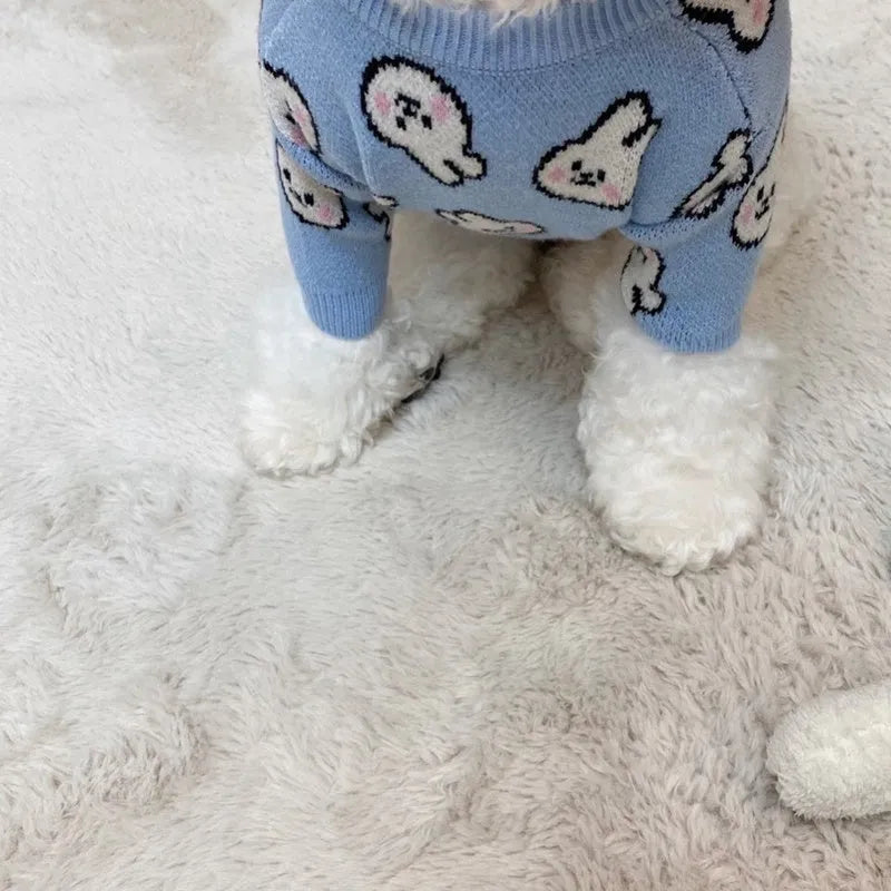 Small dog wearing a blue knitted winter sweater with a charming pattern, soft polyacrylic material