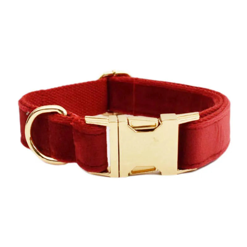 Dog wearing cloth collar, leash, vest with decorative bow accessory set