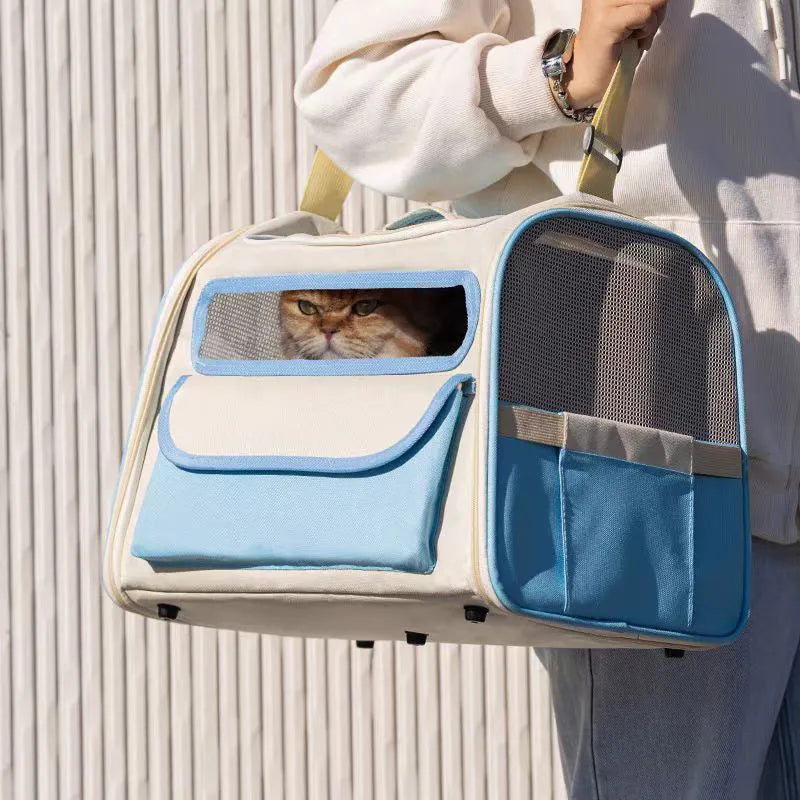 See through breathable large capacity pet bag foldable travel carrier for small pets in blue