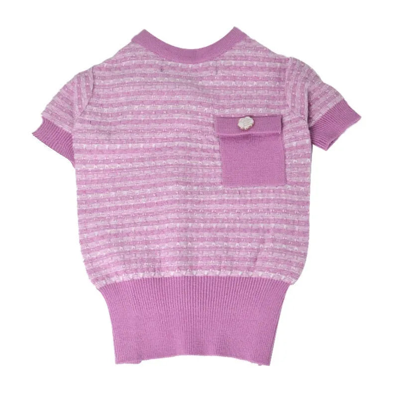 Classic style wool jumper for a Schnauzer dog in winter.