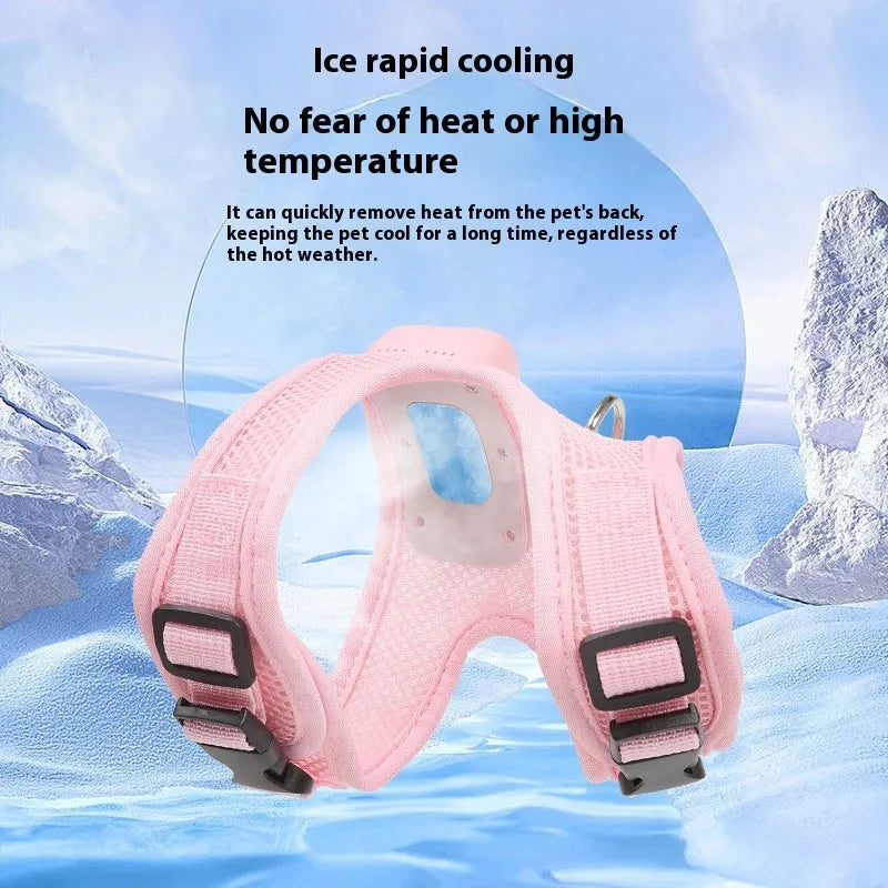 Mint green small dog cooling harness with LED light and leash on a white background