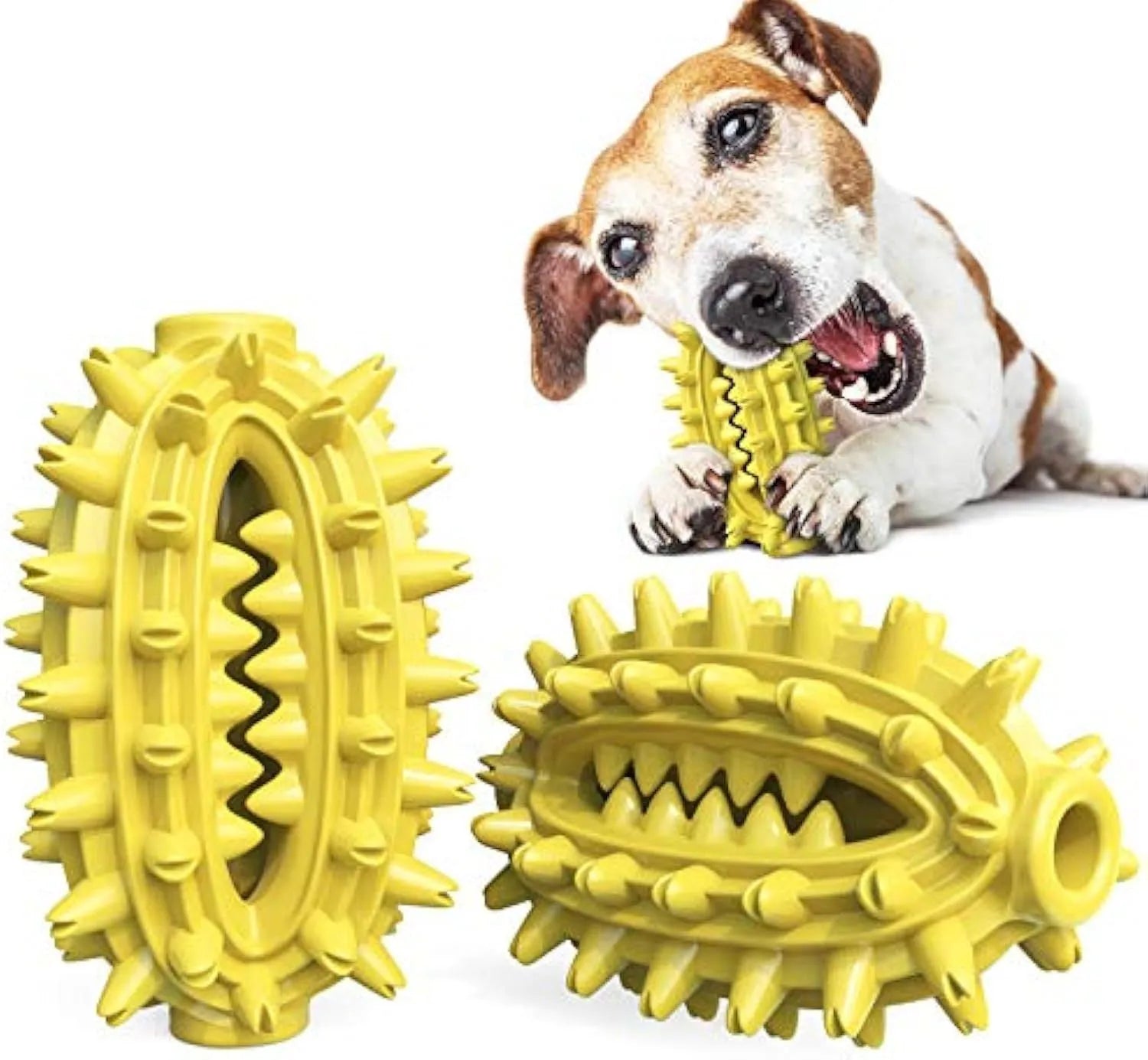 Green cactus-shaped dog toothbrush chew toy for dental care of medium to large breeds