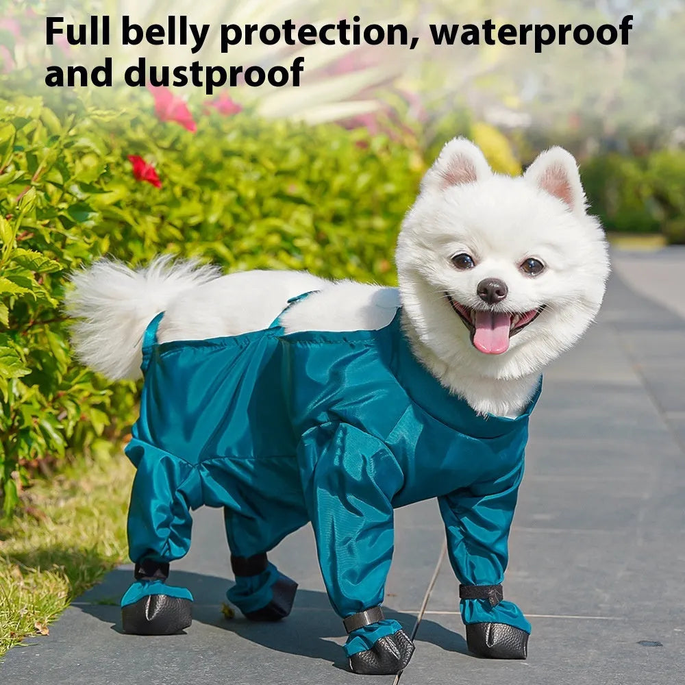 Peacock blue pet diaper bag belly jumpsuit made from waterproof memory cloth with foot-wrapped design on a small dog