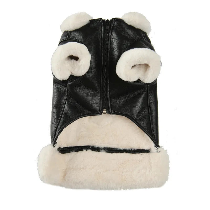 Leather dog jacket in black and brown colours for autumn and winter wear