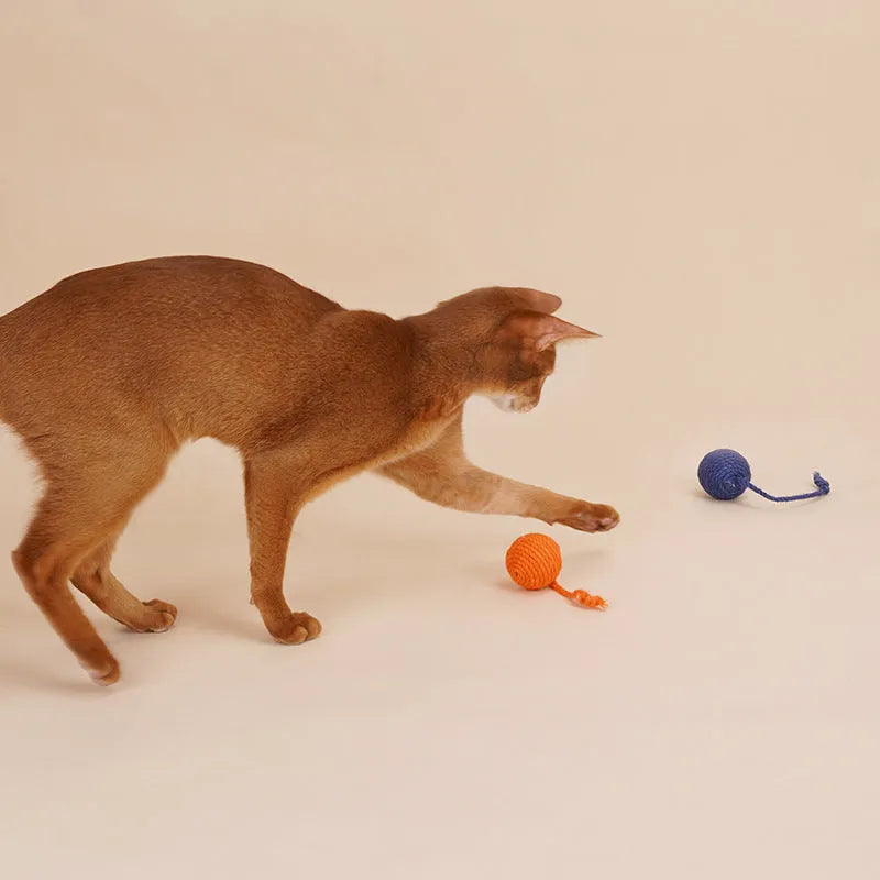 Cat toy set showing teaser wand with catnip ball attachment in multiple colour options