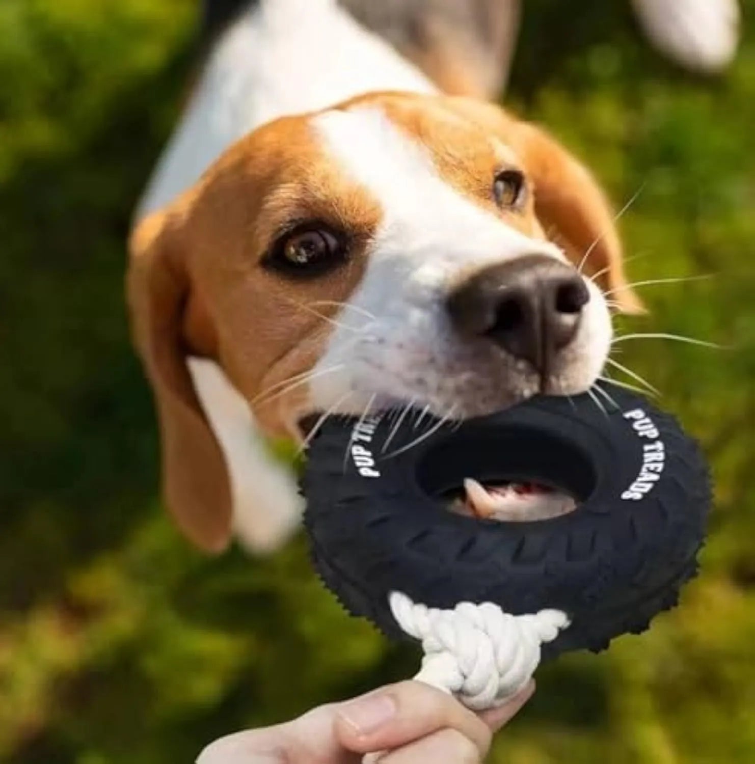 Black natural rubber tire dog toy with rope for aggressive chewers, large size 35x16 cm