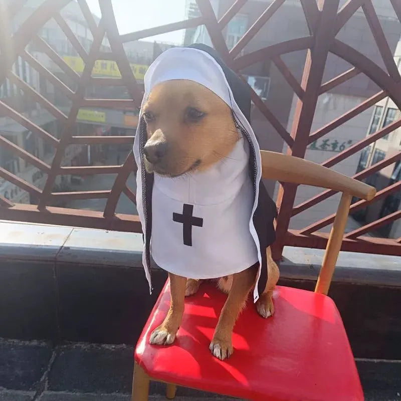 Black and white nun cloak costume on a small dog