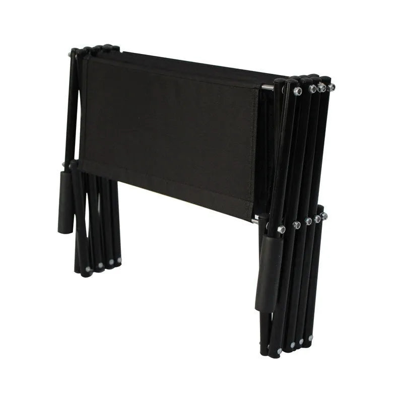 Folding stainless steel dog ladder ramp in navy blue, shown extended next to a car.