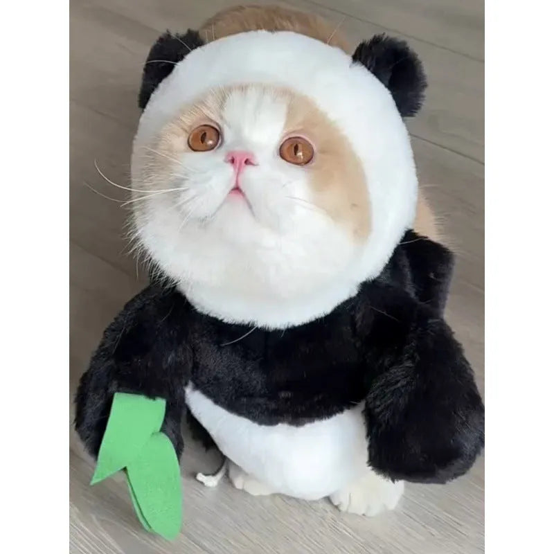 Cat and dog costume set with radish rabbit or bamboo panda clothes and carrot prop for spring and autumn