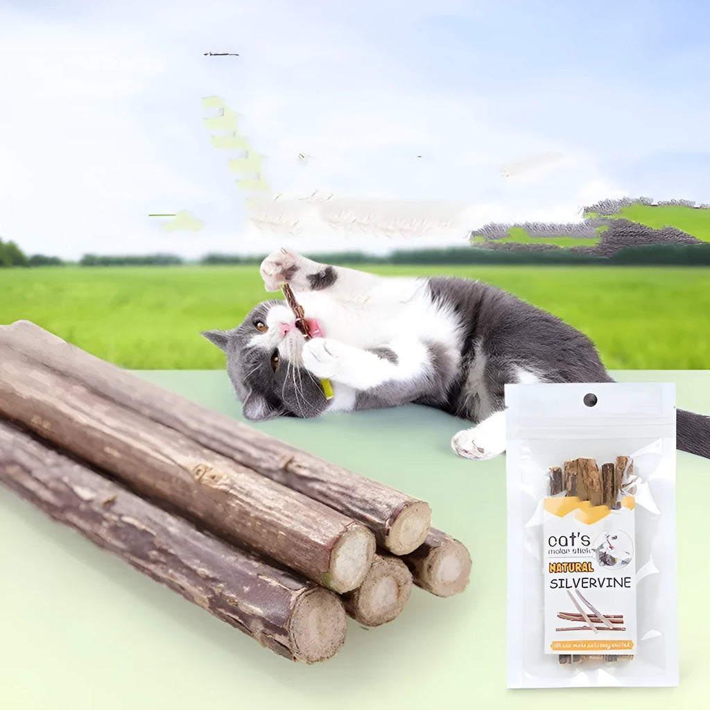 Pet Cat Molar Rod dental chew sticks for adult cats, 15g each, molar rod flavour, pack of 5